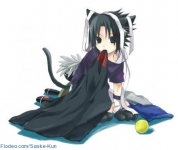 sasuke gatto